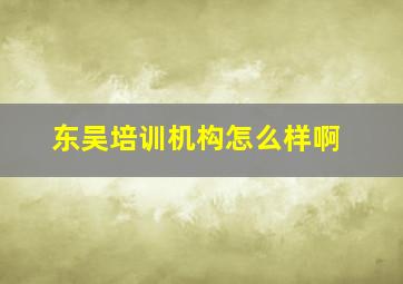 东吴培训机构怎么样啊