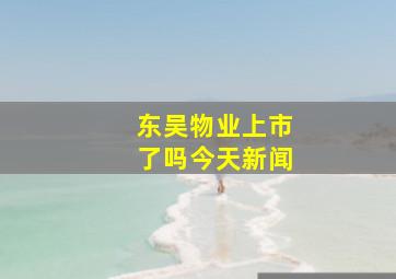 东吴物业上市了吗今天新闻