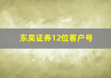 东吴证券12位客户号