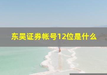 东吴证券帐号12位是什么