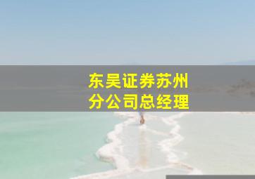 东吴证券苏州分公司总经理