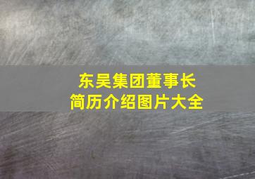 东吴集团董事长简历介绍图片大全