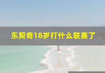 东契奇18岁打什么联赛了