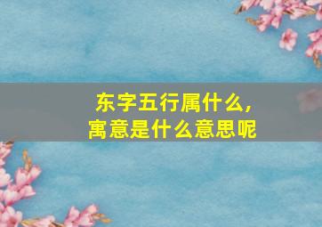 东字五行属什么,寓意是什么意思呢