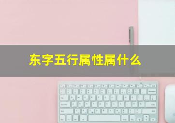 东字五行属性属什么