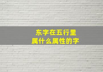 东字在五行里属什么属性的字