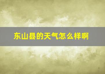 东山县的天气怎么样啊