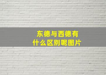 东德与西德有什么区别呢图片