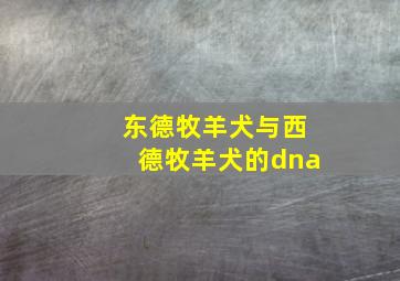 东德牧羊犬与西德牧羊犬的dna