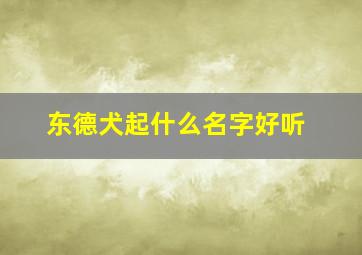 东德犬起什么名字好听