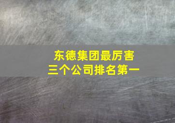 东德集团最厉害三个公司排名第一