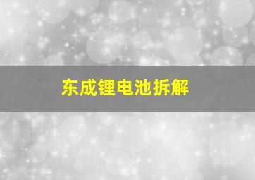 东成锂电池拆解