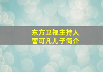 东方卫视主持人曹可凡儿子简介