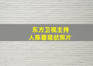 东方卫视主持人陈蓉现状照片