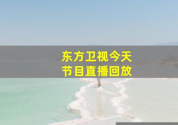 东方卫视今天节目直播回放