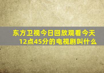 东方卫视今日回放观看今天12点45分的电视剧叫什么