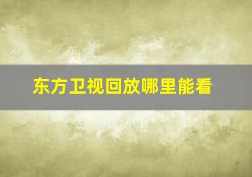 东方卫视回放哪里能看