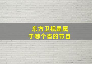 东方卫视是属于哪个省的节目