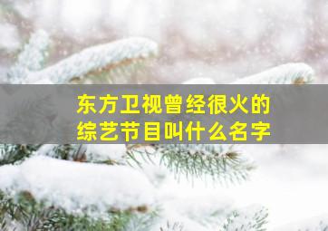 东方卫视曾经很火的综艺节目叫什么名字