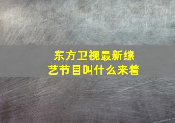 东方卫视最新综艺节目叫什么来着