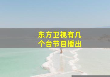 东方卫视有几个台节目播出