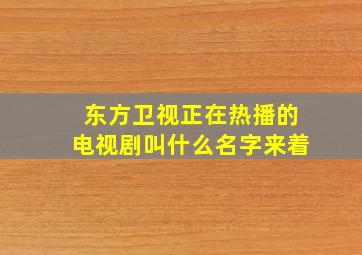 东方卫视正在热播的电视剧叫什么名字来着