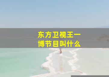 东方卫视王一博节目叫什么