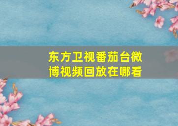 东方卫视番茄台微博视频回放在哪看