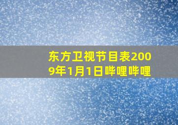 东方卫视节目表2009年1月1日哔哩哔哩