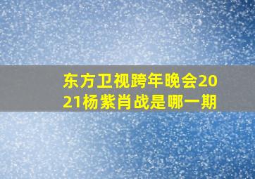 东方卫视跨年晚会2021杨紫肖战是哪一期