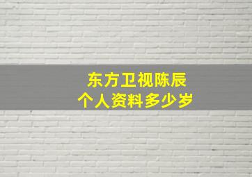 东方卫视陈辰个人资料多少岁