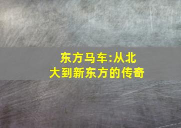 东方马车:从北大到新东方的传奇