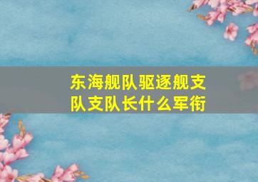 东海舰队驱逐舰支队支队长什么军衔