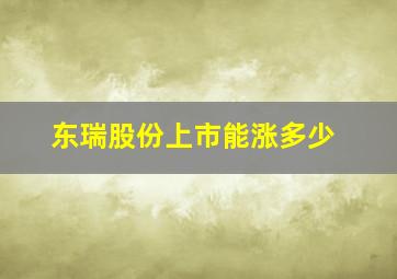 东瑞股份上市能涨多少