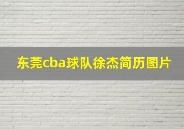 东莞cba球队徐杰简历图片