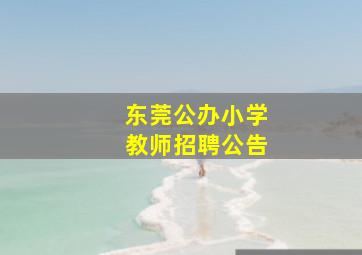 东莞公办小学教师招聘公告