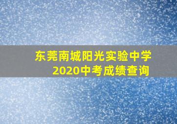 东莞南城阳光实验中学2020中考成绩查询