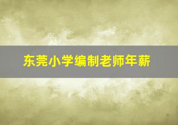 东莞小学编制老师年薪