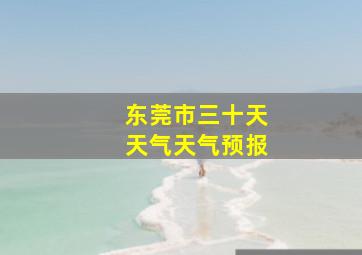 东莞市三十天天气天气预报