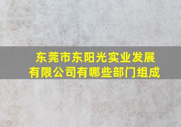 东莞市东阳光实业发展有限公司有哪些部门组成