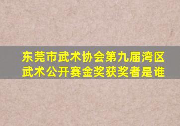 东莞市武术协会第九届湾区武术公开赛金奖获奖者是谁