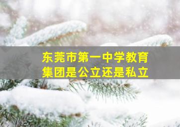 东莞市第一中学教育集团是公立还是私立