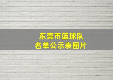 东莞市篮球队名单公示表图片