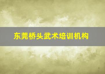 东莞桥头武术培训机构