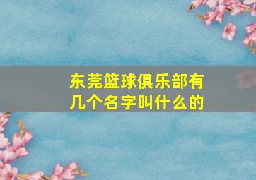 东莞篮球俱乐部有几个名字叫什么的