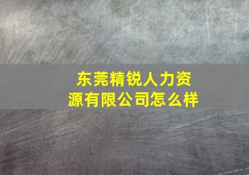 东莞精锐人力资源有限公司怎么样