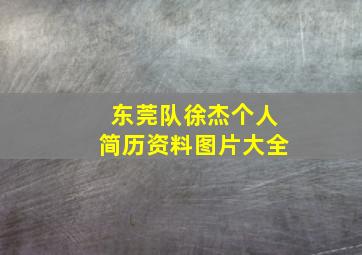 东莞队徐杰个人简历资料图片大全