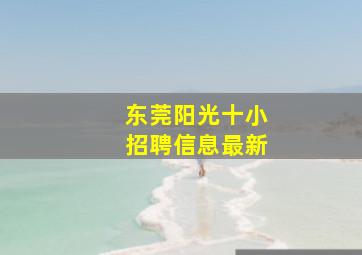 东莞阳光十小招聘信息最新