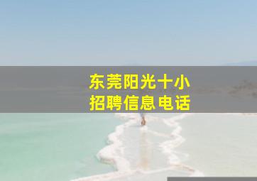 东莞阳光十小招聘信息电话