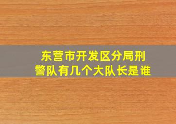 东营市开发区分局刑警队有几个大队长是谁